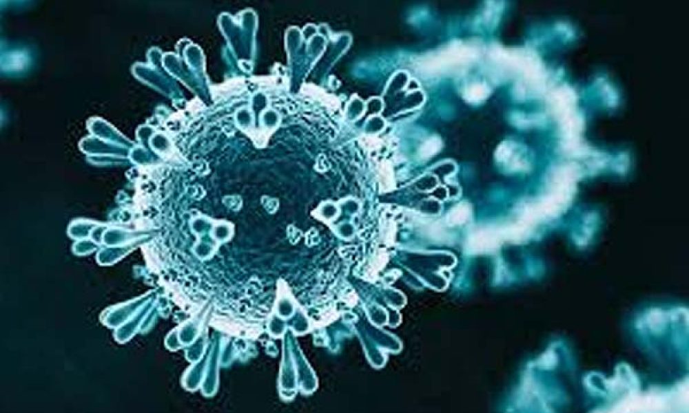 virus