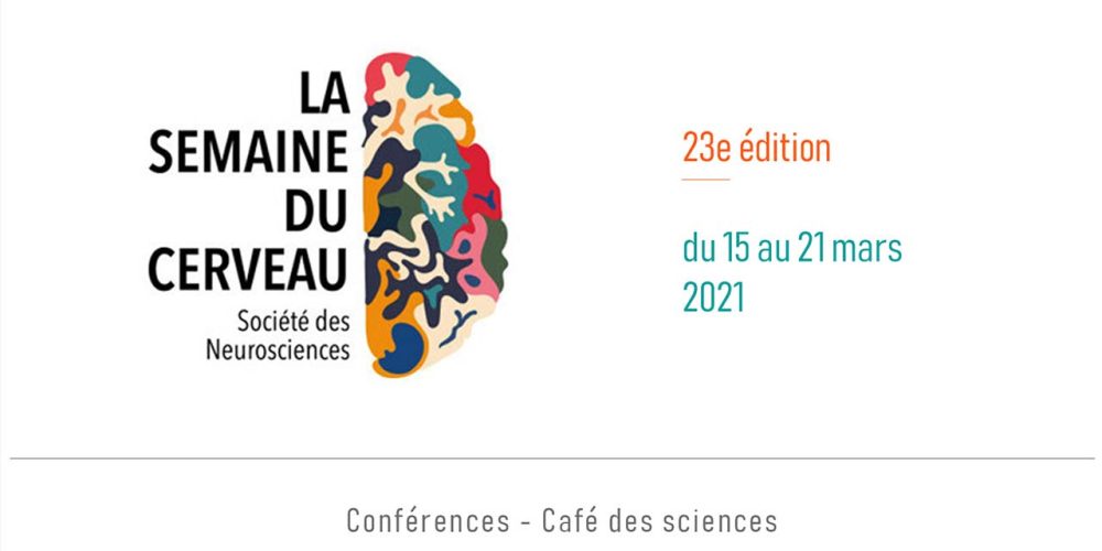23e Édition de la Semaine du cerveau – 15 mars 2021