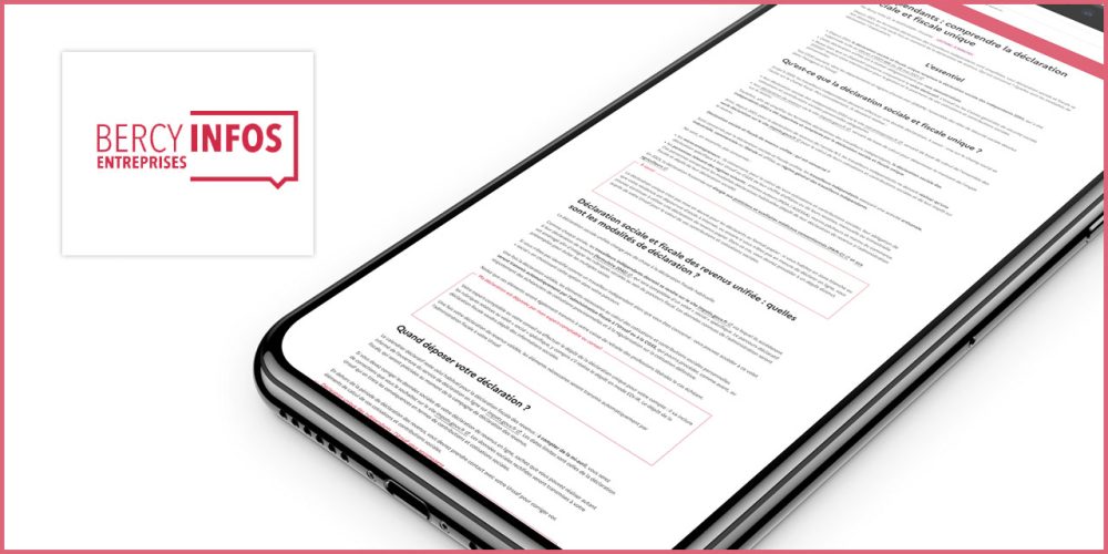 Comprendre la déclaration sociale et fiscale unique (BercyInfos)