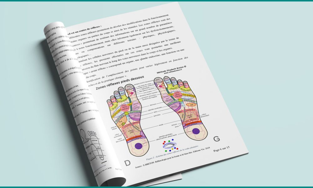 mockup brochure